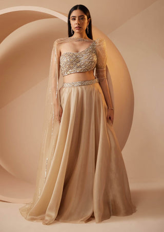 Roqa-Abira Gold Lehenga Set-INDIASPOPUP.COM