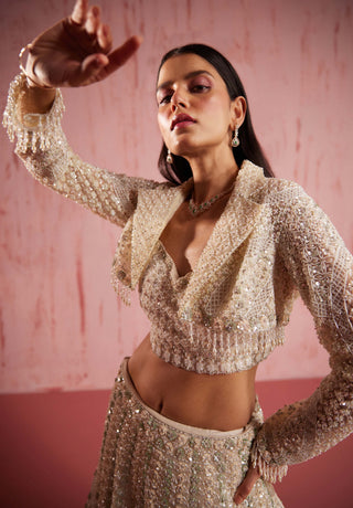 Roqa-Aiden Ivory Lehenga And Jacket Set-INDIASPOPUP.COM