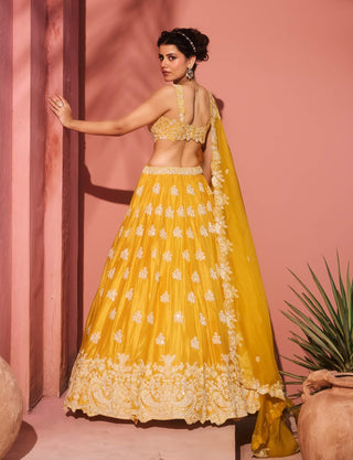 Nazanin yellow lehenga set