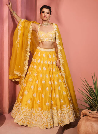 Nazanin yellow lehenga set