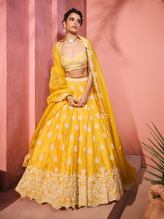 Nazanin yellow lehenga set