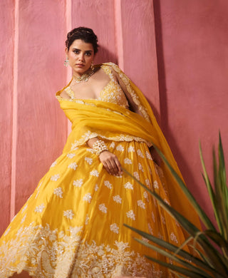 Nazanin yellow lehenga set