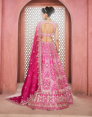Mina rani lehenga set