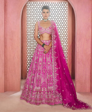 Mina rani lehenga set