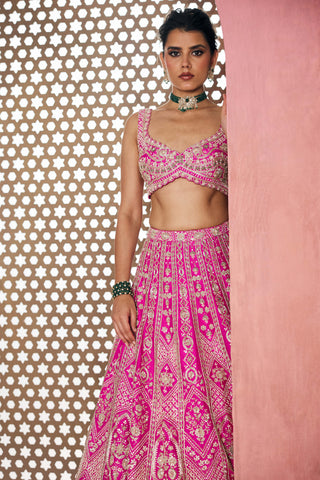 Mina rani lehenga set