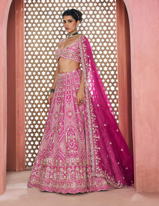Mina rani lehenga set