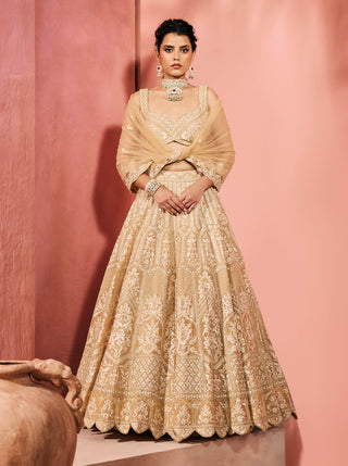 Mandana champagne gold lehenga set