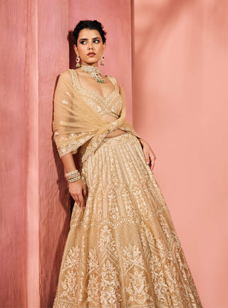 Mandana champagne gold lehenga set