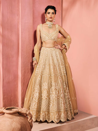 Mandana champagne gold lehenga set