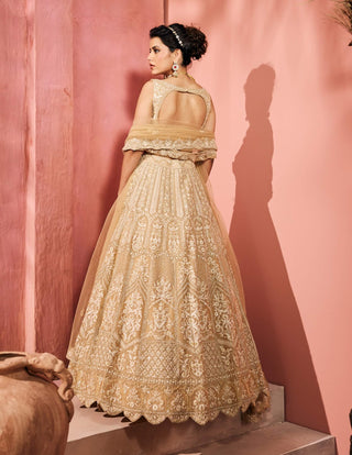 Mandana champagne gold lehenga set