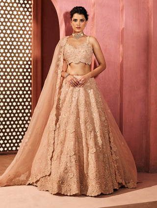 Yasamin peach lehenga set