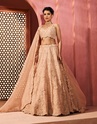 Yasamin peach lehenga set