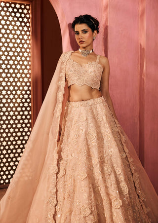 Yasamin peach lehenga set