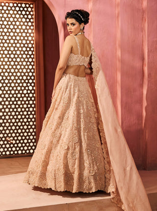 Yasamin peach lehenga set