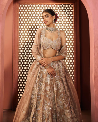 Farah gold lehenga set