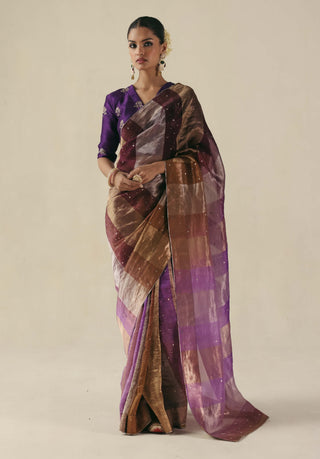 Amber purple sari and blouse