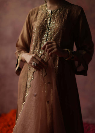 Begum Pret-Paakizah Champagne Gold Kurta Set-INDIASPOPUP.COM
