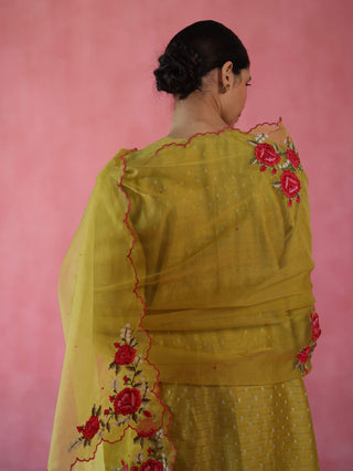 Zaafran Yellow Kurta Set by Begum Pret available on Indiaspopup.com