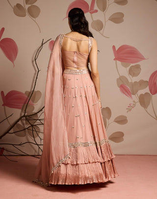 Dusty pink corset and embellished lehenga set