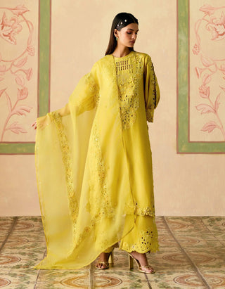Yellow cutwork and 3d florals kurta set