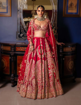 Vertically dual-shaded gold lehenga set