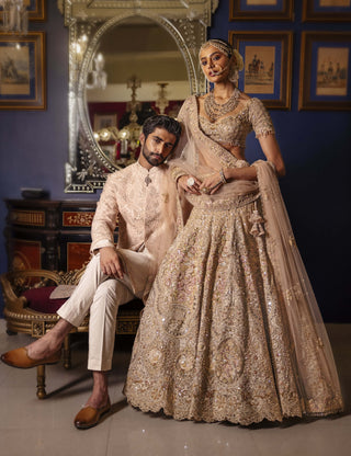 Solmere pastel gold lehenga set