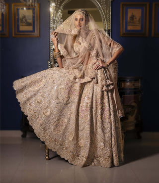 Solmere pastel gold lehenga set