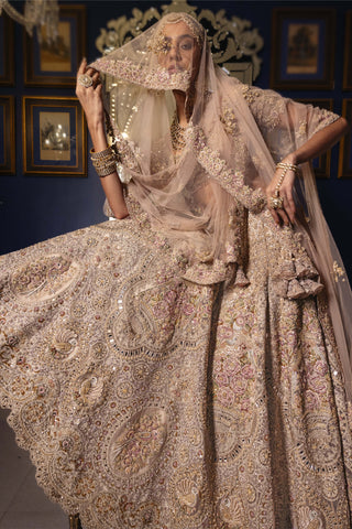 Solmere pastel gold lehenga set