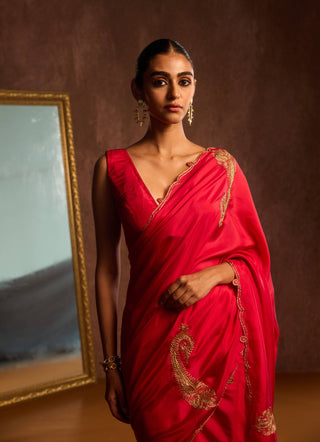 Rouge red sari