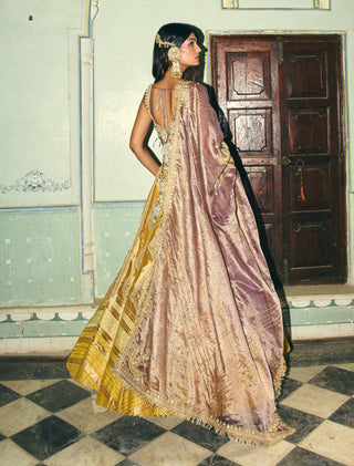 Mustard yellow zari tissue lehenga set