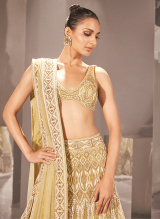 Ritika Mirchandani-Feray Olive Gold Lehenga Set-INDIASPOPUP.COM