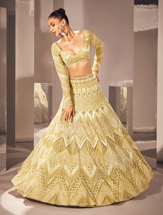 Ritika Mirchandani-Ilay Olive Gold Lehenga Set-INDIASPOPUP.COM