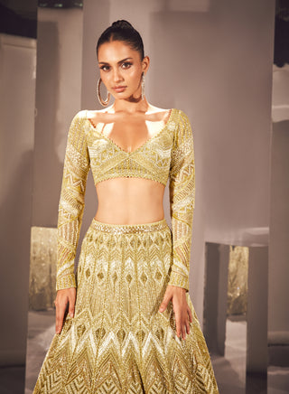 Ritika Mirchandani-Ilay Olive Gold Lehenga Set-INDIASPOPUP.COM
