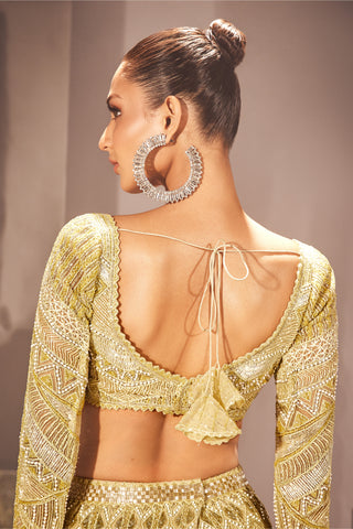Ritika Mirchandani-Ilay Olive Gold Lehenga Set-INDIASPOPUP.COM