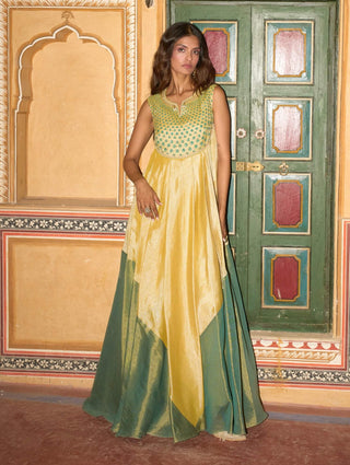 Lemon yellow and green choga