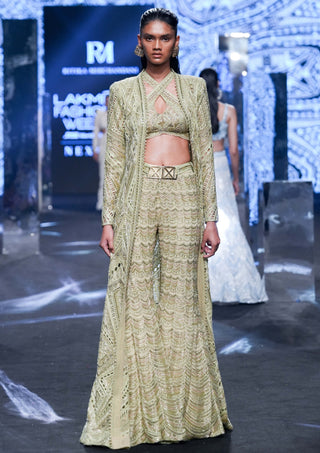 Ritika Mirchandani-Zana Metallic Green Sharara Jacket Set-INDIASPOPUP.COM