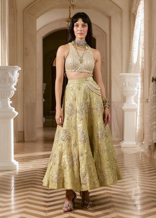 Pistache green silver jacquard skirt set