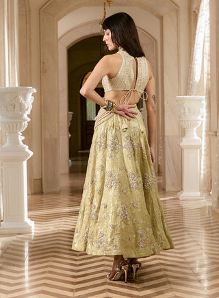 Pistache green silver jacquard skirt set