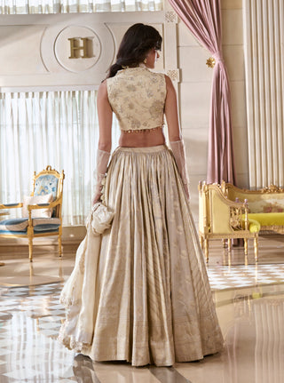 Pearl gray multi-kali jacquard lehenga set