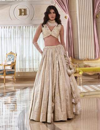 Pearl gray multi-kali jacquard lehenga set