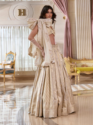 Pearl gray multi-kali jacquard lehenga set