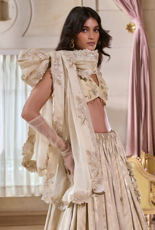 Pearl gray multi-kali jacquard lehenga set