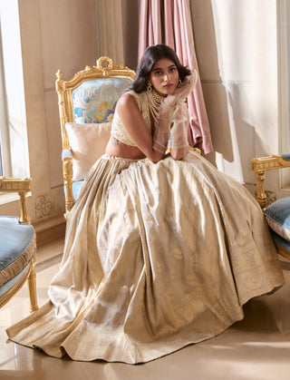 Pearl gray multi-kali jacquard lehenga set