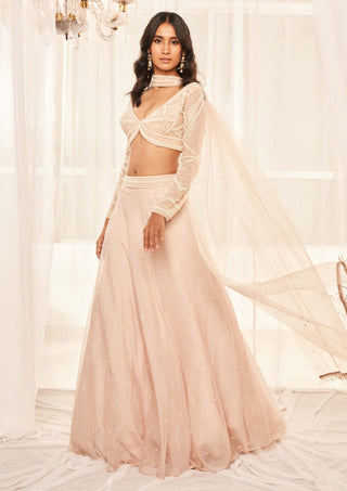 Disha Muchhala-Dusty Beige Organza Lehenga Set-INDIASPOPUP.COM