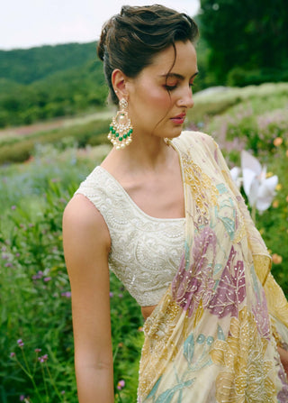 Diara ivory floral lehenga sari and blouse