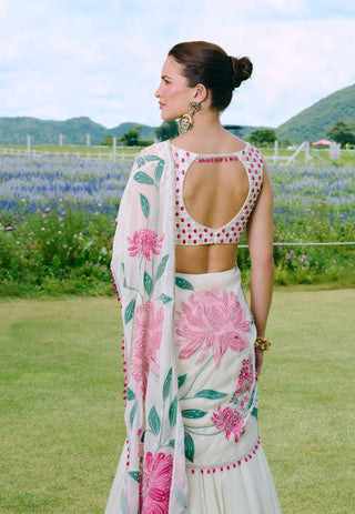 Dalphine ivory drape sari and blouse