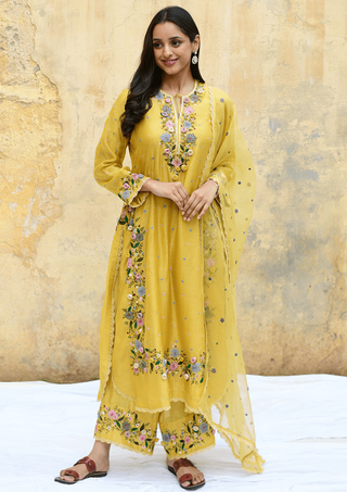 Niti Bothra-Yellow Orchid Heavy Long Kurta Set-INDIASPOPUP.COM