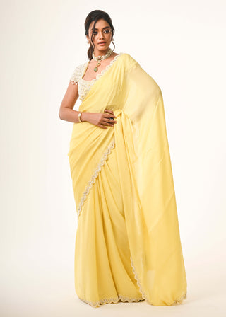 Yellow flowing chiffon sari and blouse