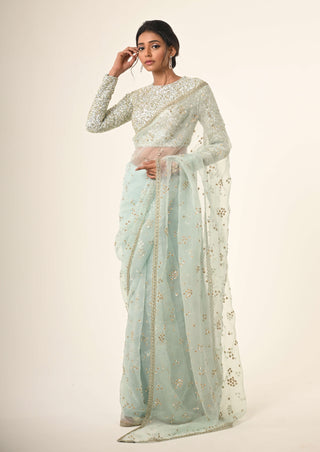 Powder blue embroidered organza sari and blouse