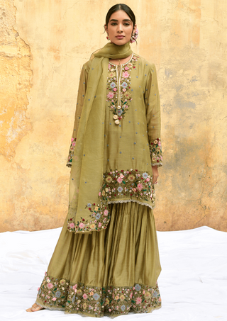 Niti Bothra-Olive Green Orchid Sharara Set-INDIASPOPUP.COM